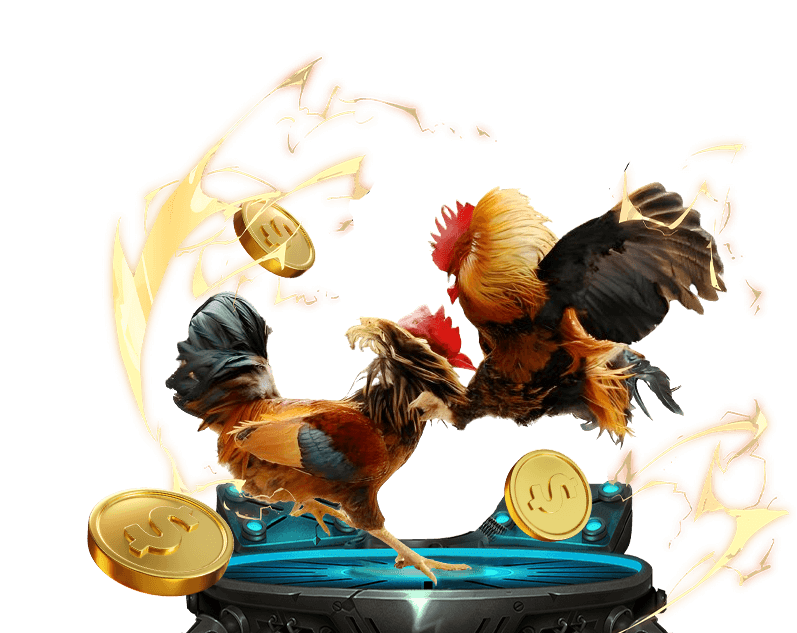 Cá cược Thể Thao tại ku3933 net